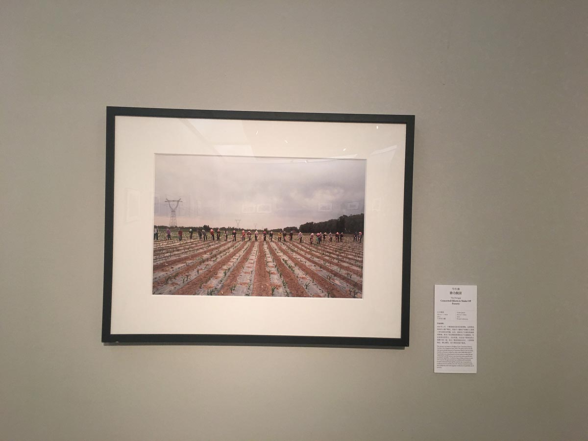 images/art/2020-08-23 中国美术馆/5.jpg